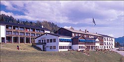 morgedal1